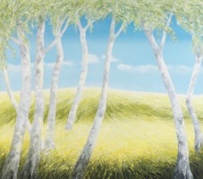 Berkenbosje<br>olieverf op doek<br>110 x 125<br>2008