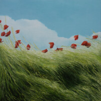 Dijk met Klaprozen 1<br>olieverf op doek<br>90 x 90<br>2007