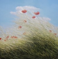 Dijk met Klaprozen 3<br>olieverf op doek<br>90 x 90<br>2009