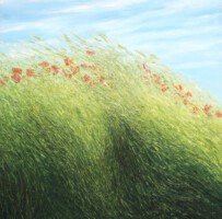 Junidijk<br>olieverf op doek<br>110 x 110<br>2007