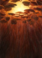 Onderwaterlelie<br>olieverf op doek<br>70 x 95<br>2009<br>