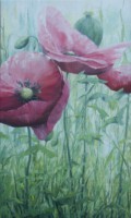 Roze papavers<br>olieverf op doek<br>60 x 100<br>2007<br>