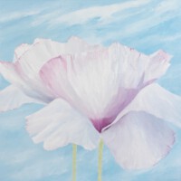 Roze slaapbollen <br>olieverf op doek<br>80 x 80<br>2008