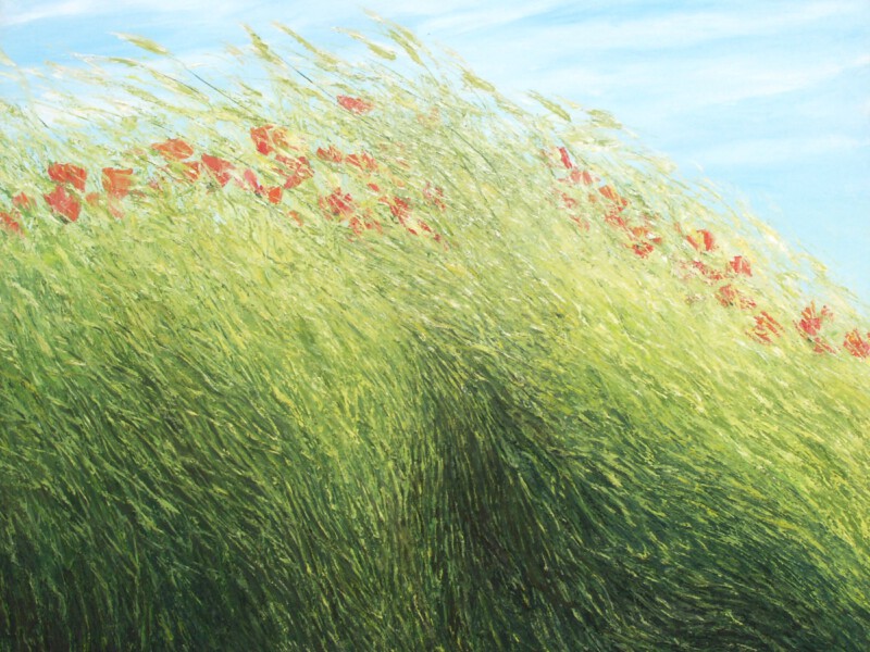 Stukje van de wereld