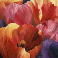 Tulpen uit Marknesse 1<br>olieverf op doek<br>100 x 100<br>2007