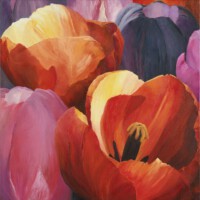 Tulpen uit Marknesse 2<br>olieverf op doek<br>100 x 100<br>2007