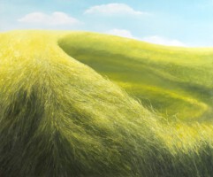 Uiterwaarden<br>olieverf op doek<br>100 x 120<br>2008<br>