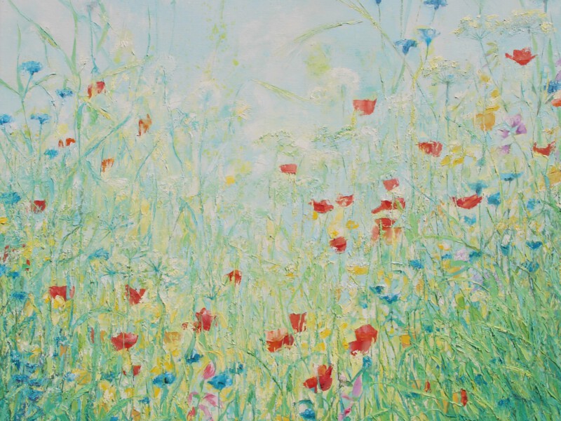 Velden en bloemenweiden