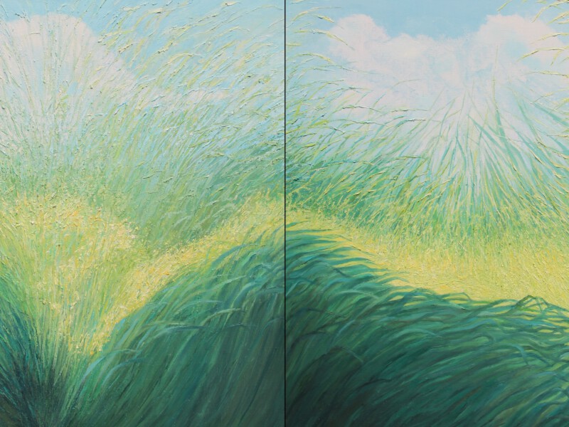 Impressies van een Eiland